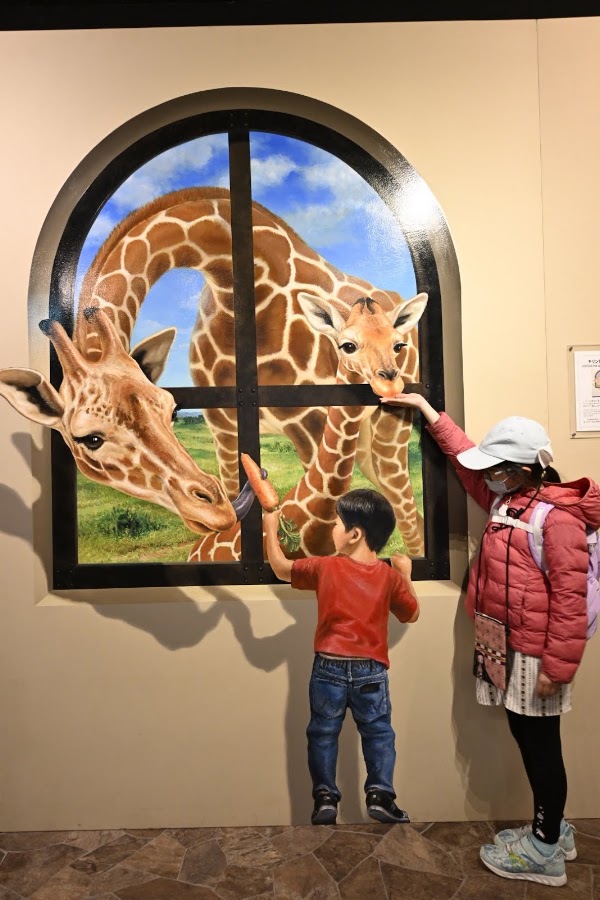 TOKYO TRICK ART MUSEUM 3