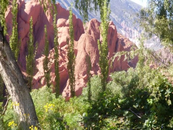 Paseo de los Colorados 3