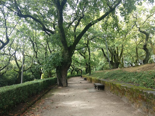 Parque da Alameda (Santiago de Compostela) 4