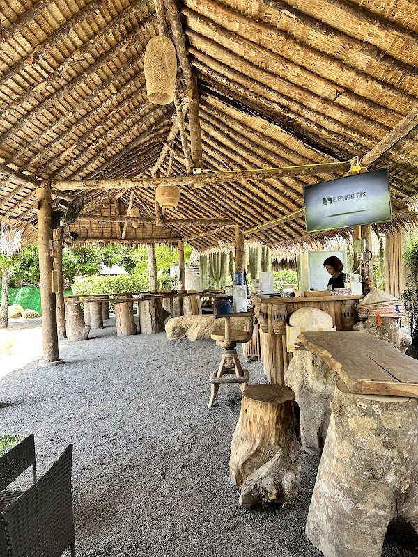 Phangan Elephant Sanctuary 4