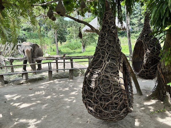 Phangan Elephant Sanctuary 3
