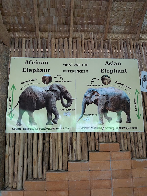 Phangan Elephant Sanctuary 2