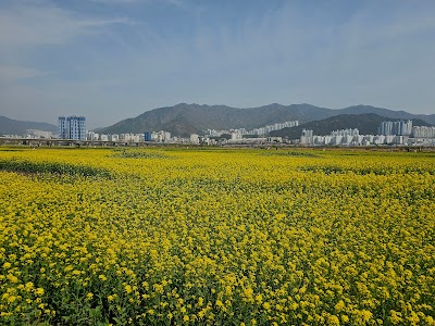 Daejeo Ecological Park