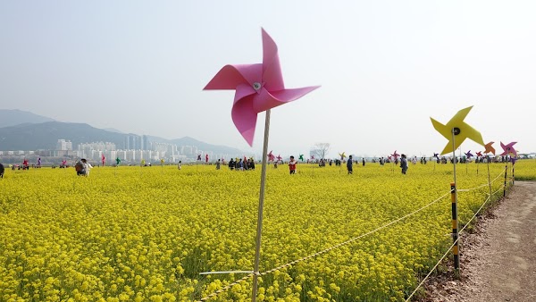 Daejeo Ecological Park 5