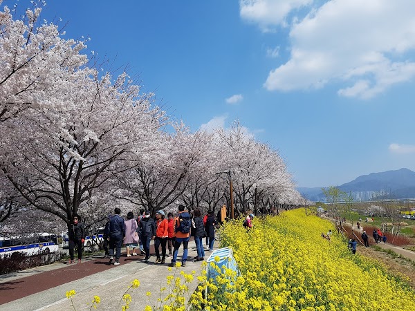 Daejeo Ecological Park 4
