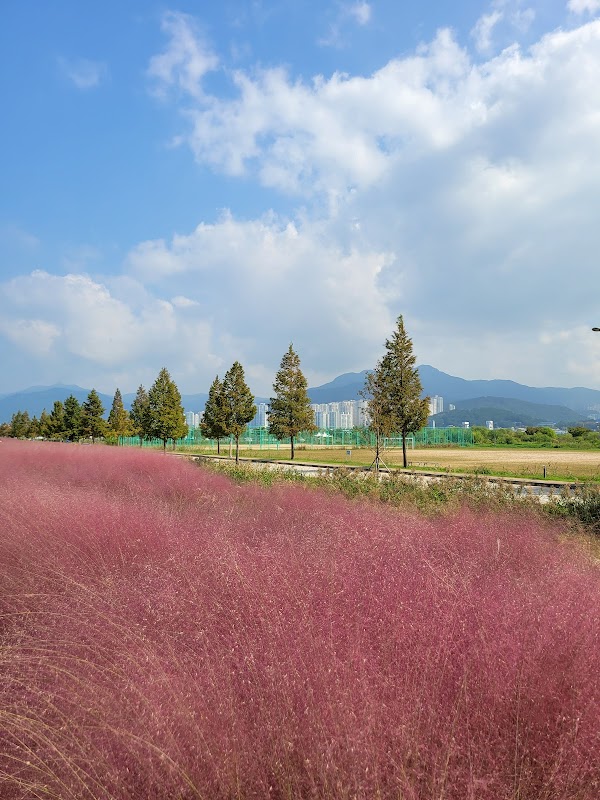 Daejeo Ecological Park 3