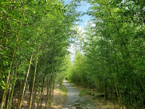Daejeo Ecological Park 2