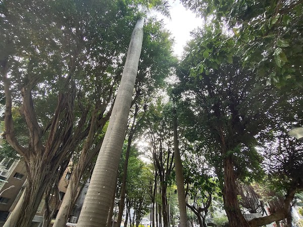 Yongkang Street 4