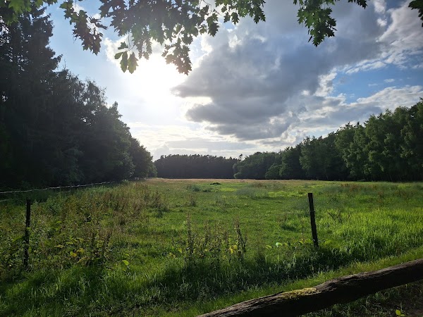 Nationaal Park Brabantse Wouden
