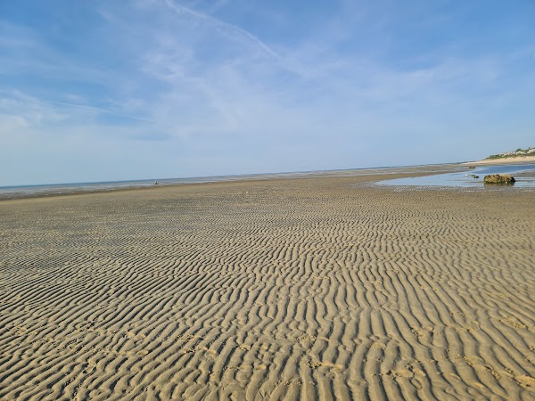 Cape Cod 16