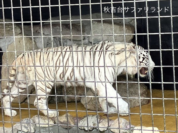 Akiyoshidai Safari Land 2