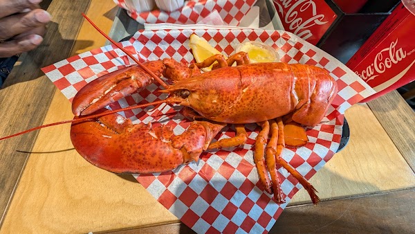 The South Shore Fish Shack 4