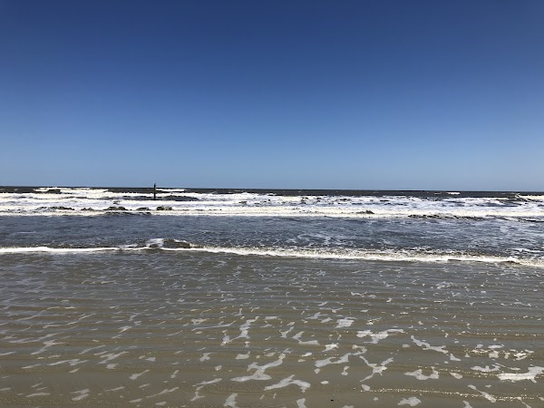 Cumberland Island 2