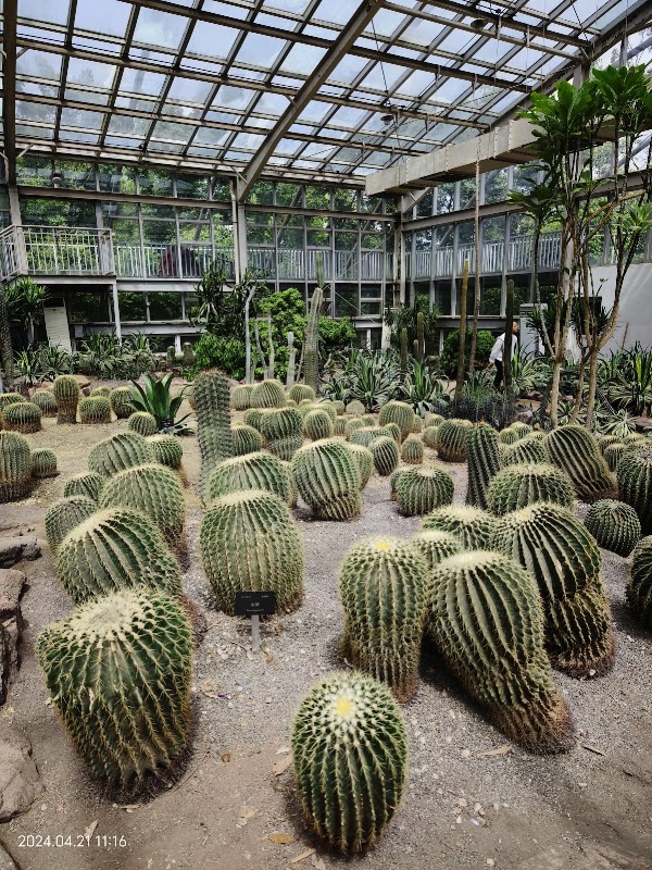 Chengdu City Plant Park 5