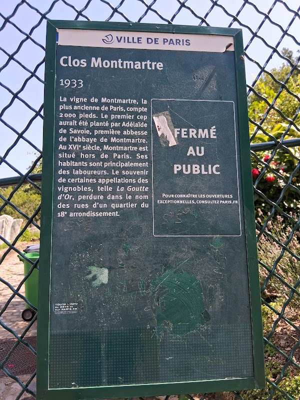Vigne du Clos Montmartre 3