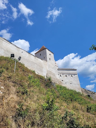 Romania 8