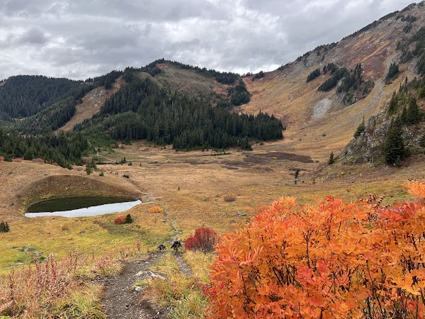 Mount Cheam Peak Trailhead
