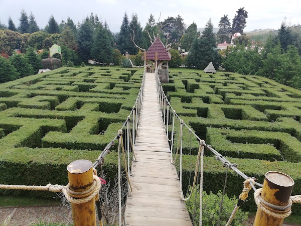 Laberinto Zoo