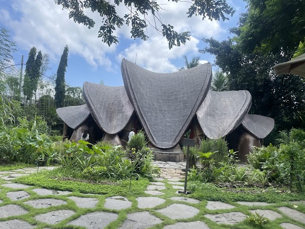 Alchemy Yoga and Meditation Center