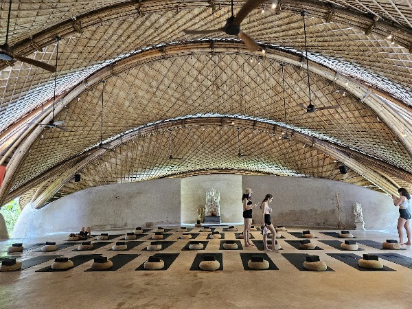 Alchemy Yoga and Meditation Center 5