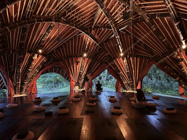 Alchemy Yoga and Meditation Center 4
