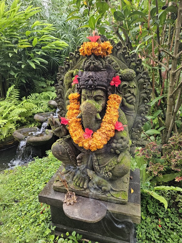Alchemy Yoga and Meditation Center 3