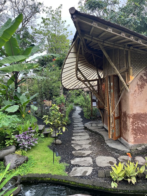 Alchemy Yoga and Meditation Center 2