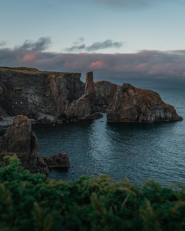 Bonavista 1