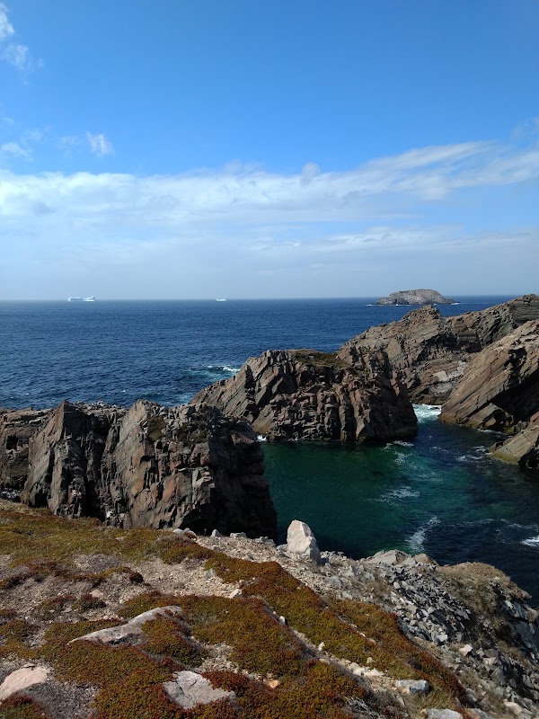 Bonavista 5