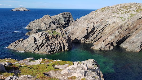 Bonavista 4