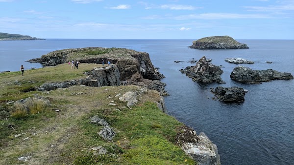 Bonavista 3