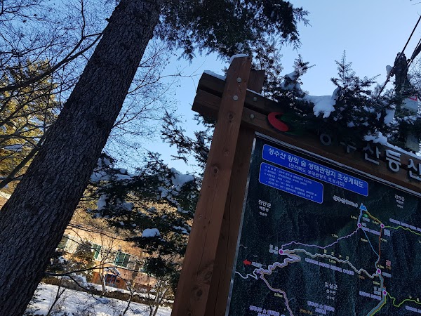 성수산 왕의숲 자연휴양림