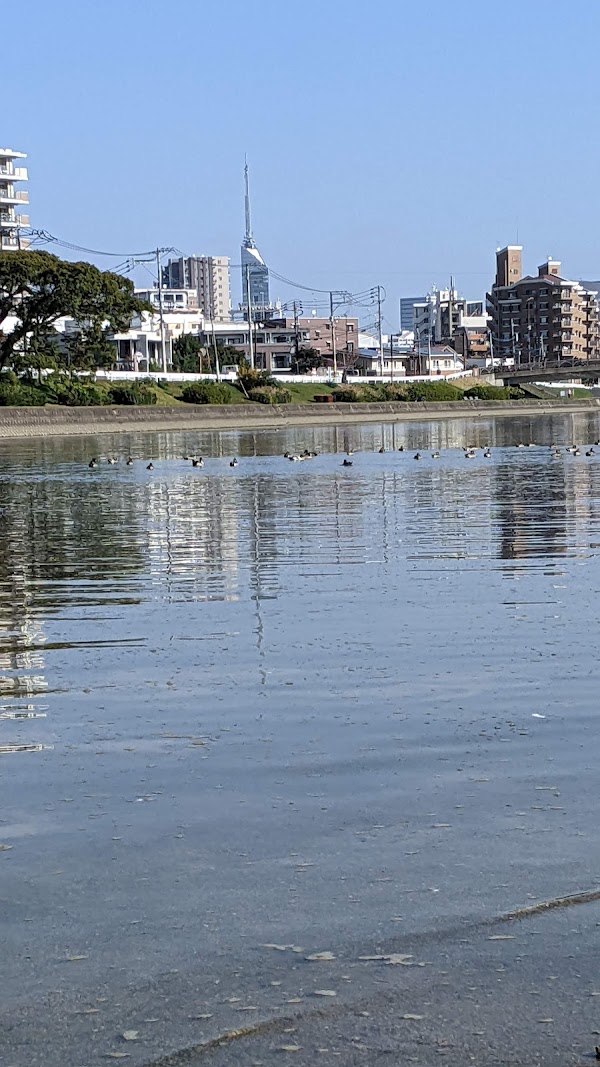 Momochihama