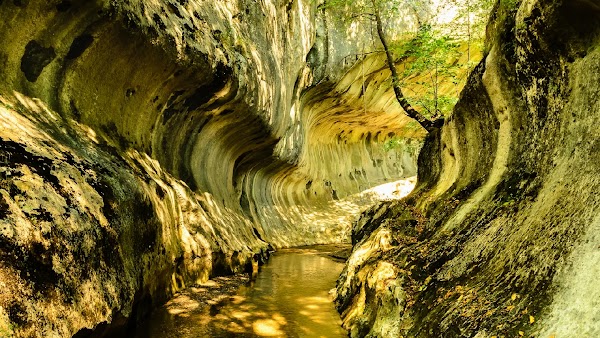 Banita Gorges