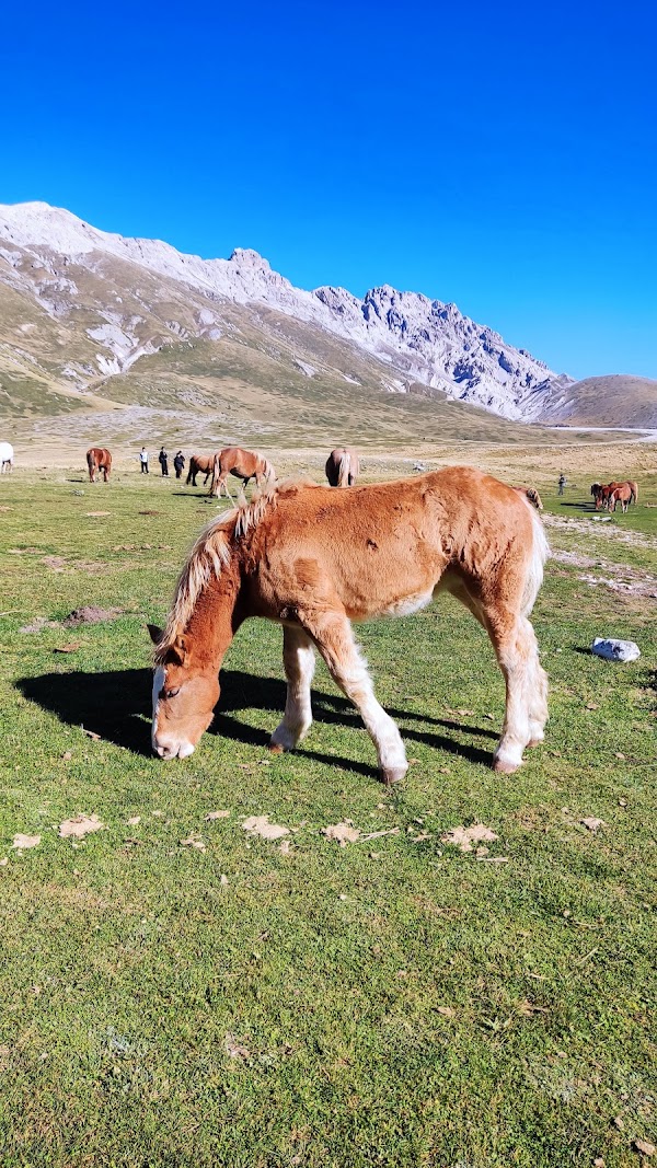 Campo Imperatore