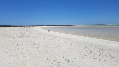 Shell Beach