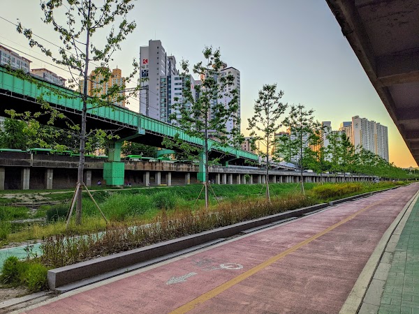 Cherry Blossom 🌸 3