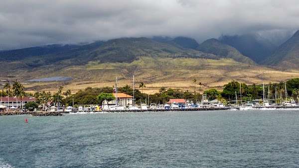 Lahaina 4