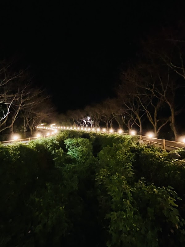 Unmulgyo Bridge 3