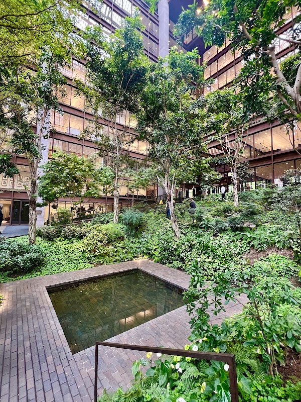 Ford Foundation Center for Social Justice 5
