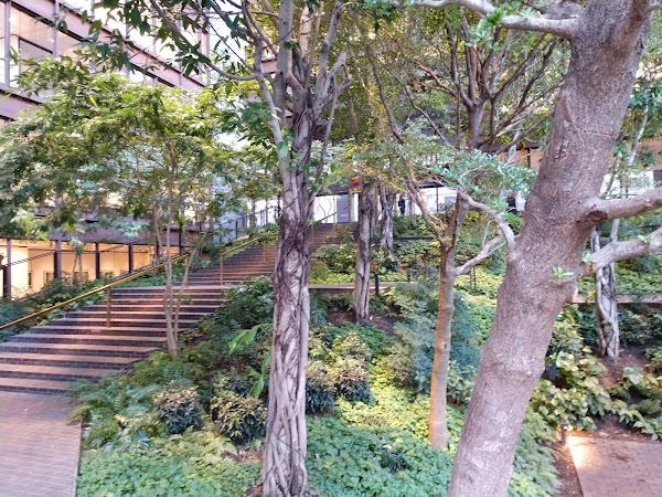 Ford Foundation Center for Social Justice 3