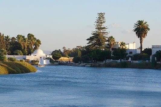 Carthage 3