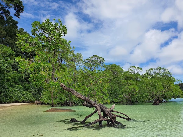 Mu Ko Surin National Park 2