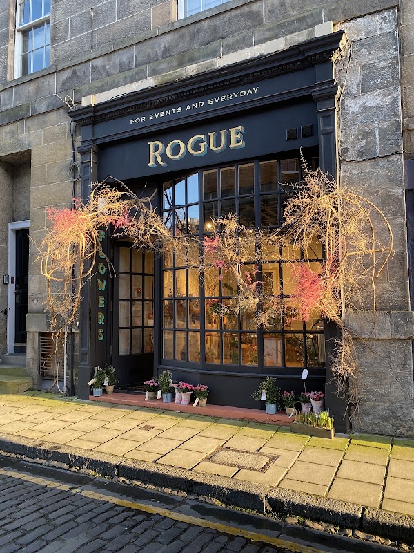 Rogue Flowers