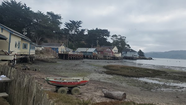 Hog Island Oyster Farm 1