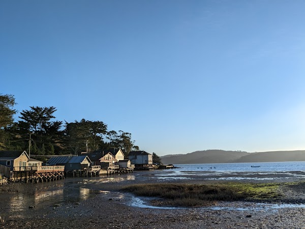 Hog Island Oyster Farm 5
