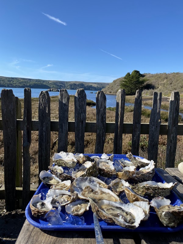 Hog Island Oyster Farm 3