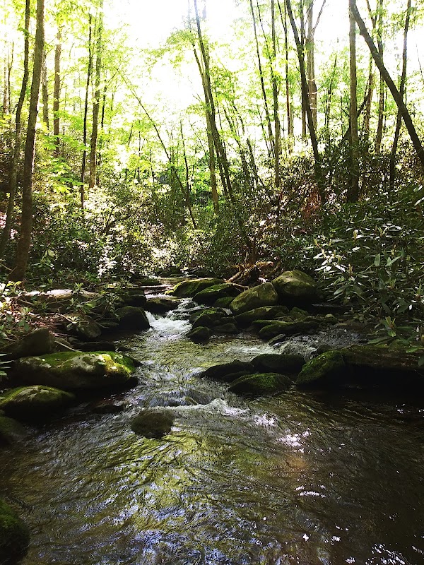Meigs Creek Trail