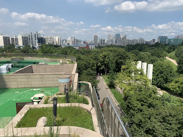 Cherry Blossom 🌸 15