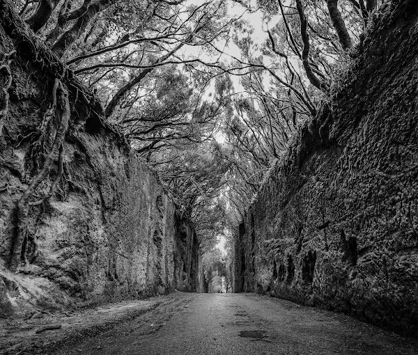 Tunel de las hadas 4